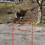 Capobnb 2min Zum See, Nahe Interlaken, Garten Lejlighed *